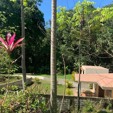Alma Del Bosque Vacation Home And Apartments 케포스 외부 사진