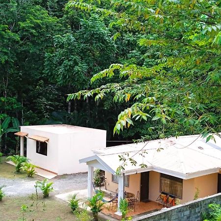 Alma Del Bosque Vacation Home And Apartments 케포스 외부 사진