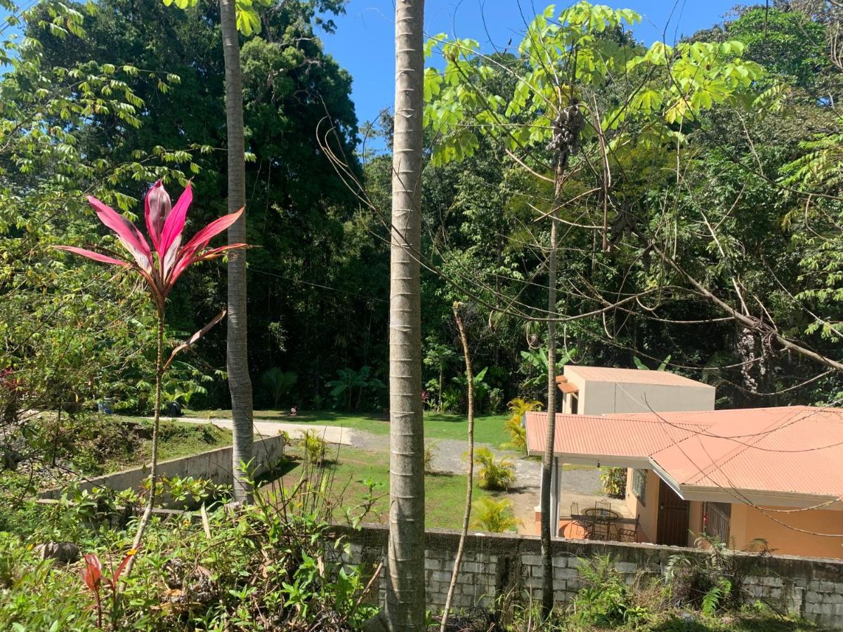 Alma Del Bosque Vacation Home And Apartments 케포스 외부 사진